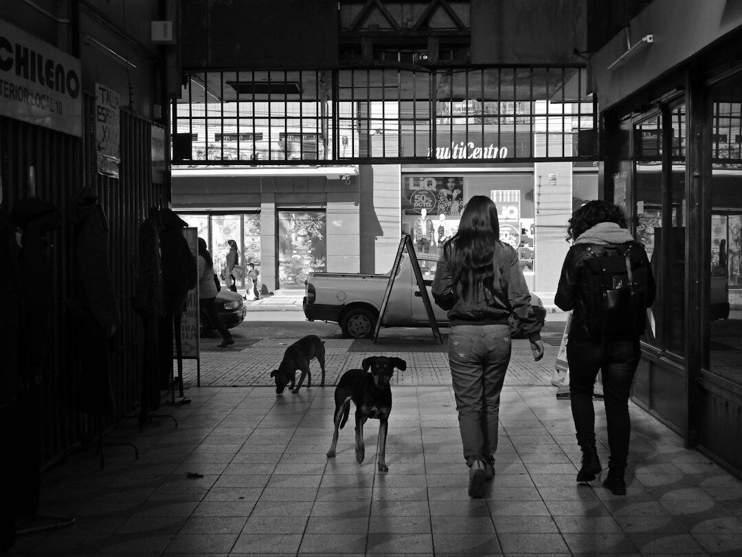 Documentary photo of daily urban life in a Chilean city with people walking near shops